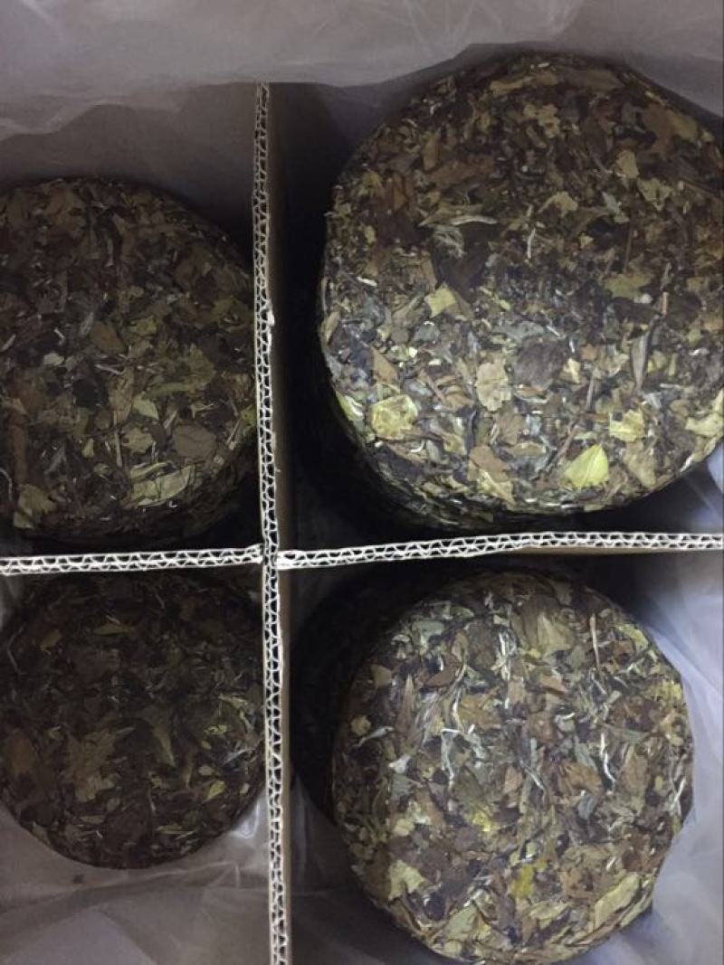 福鼎白茶