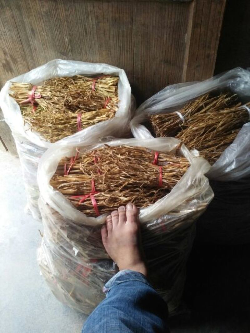 干笋