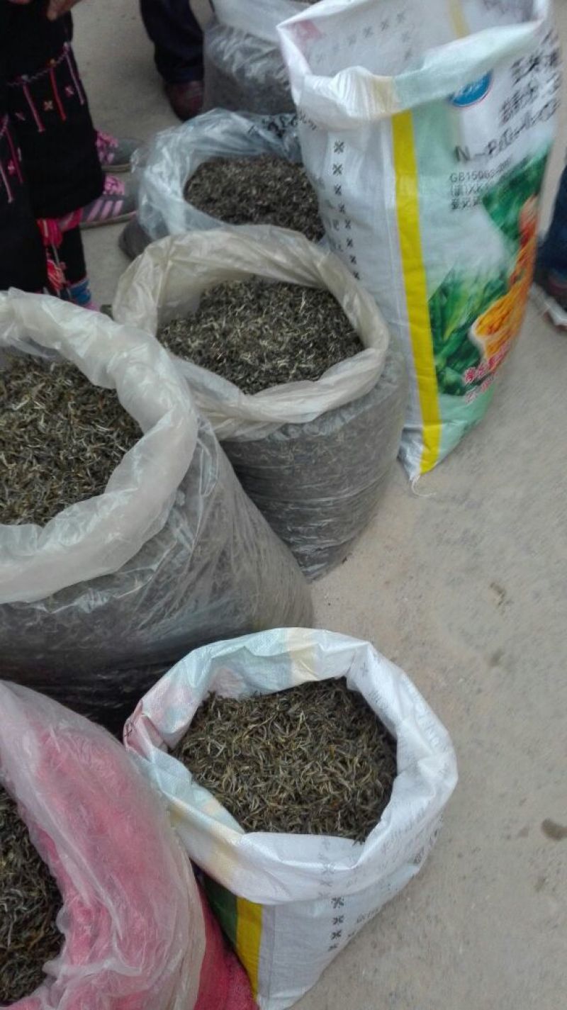 普洱茶末茶