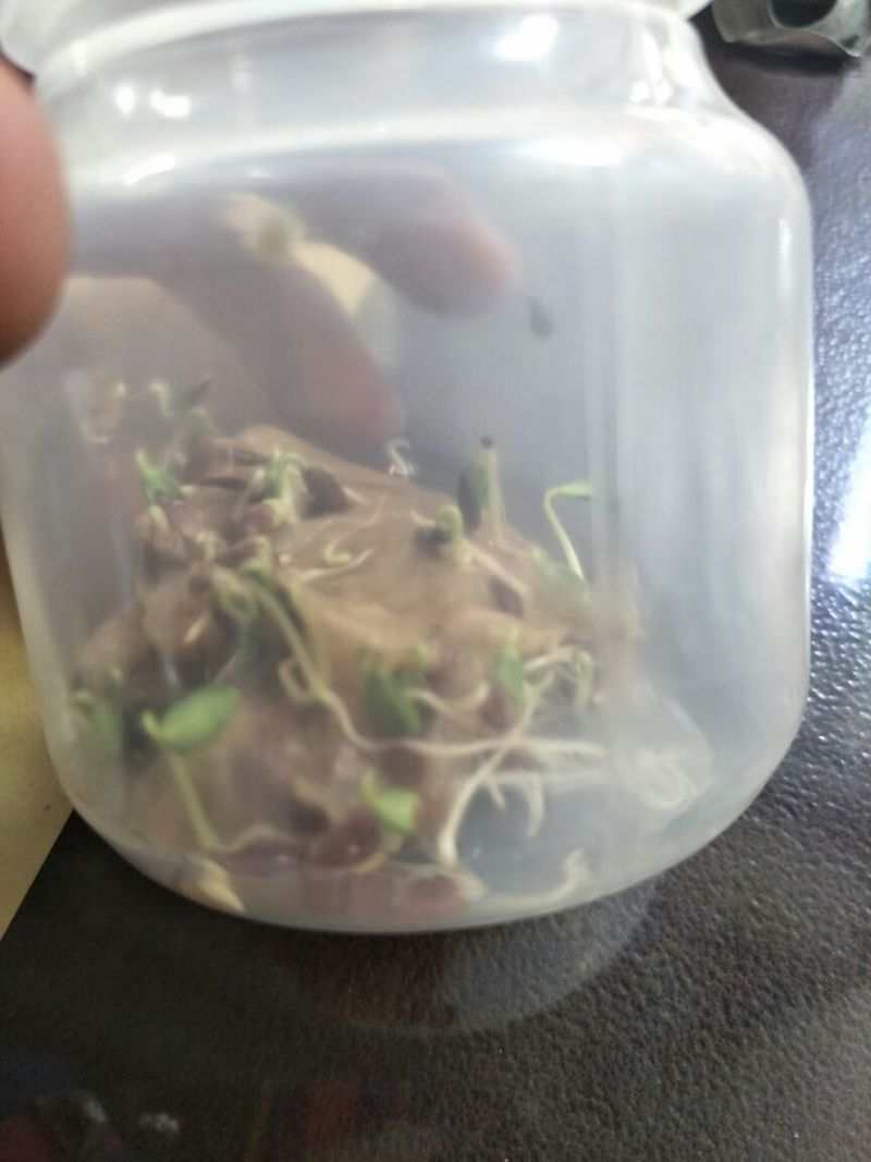 亚麻籽