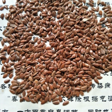亚麻籽