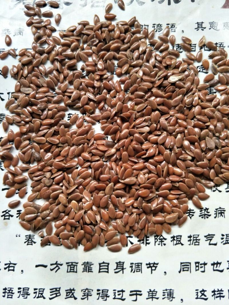 亚麻籽
