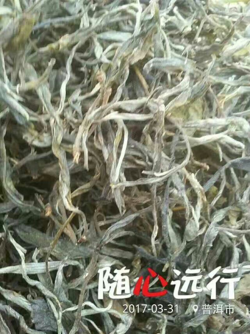 普洱茶一级