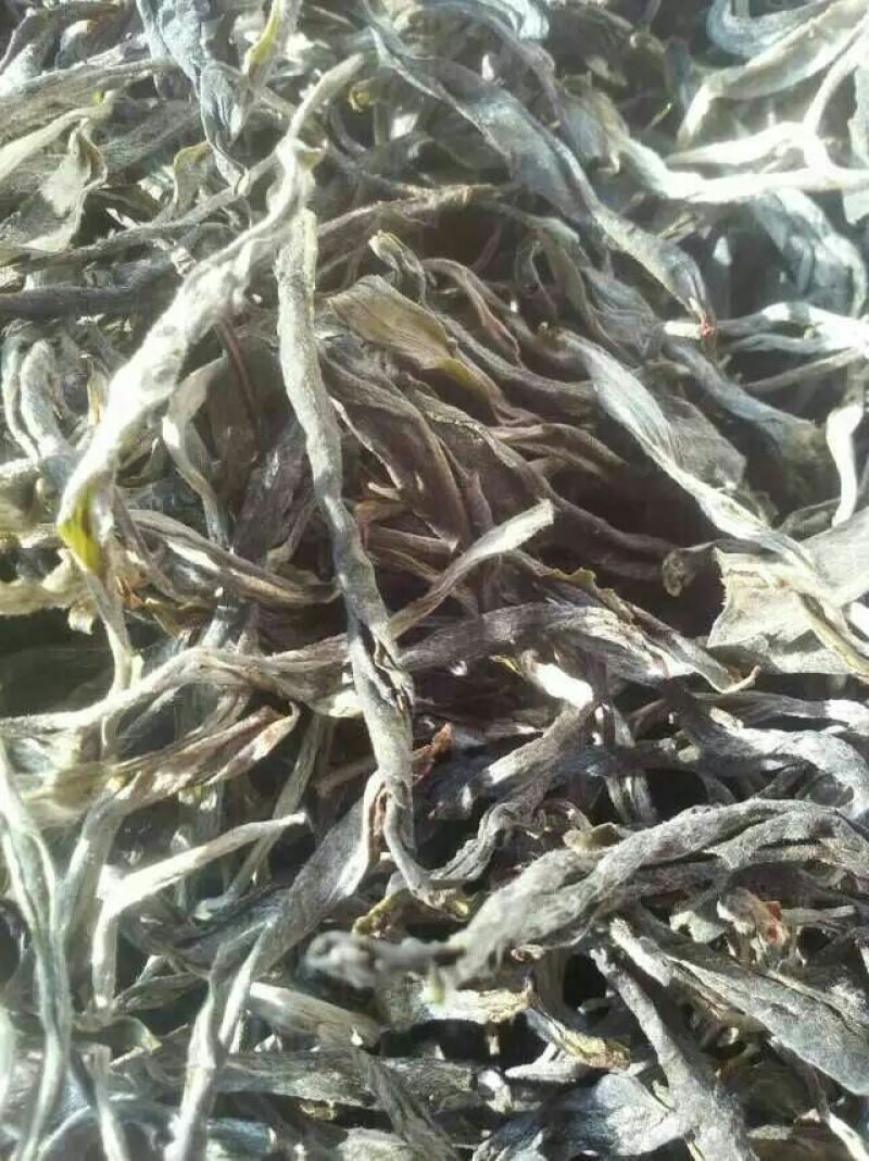 普洱茶一级