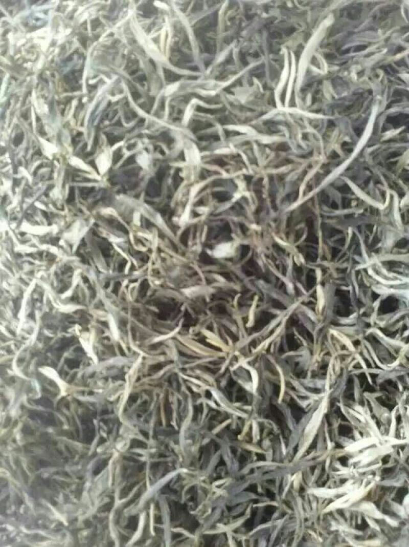 普洱茶一级