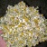 菊花茶特级