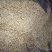 菊花茶特级