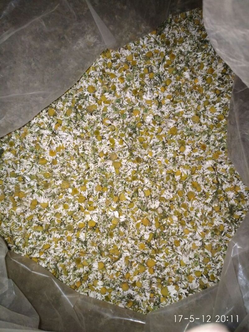 菊花茶特级