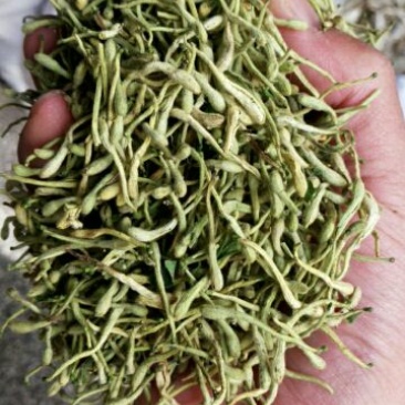 金银花中药材金银花色青花无硫无杂质