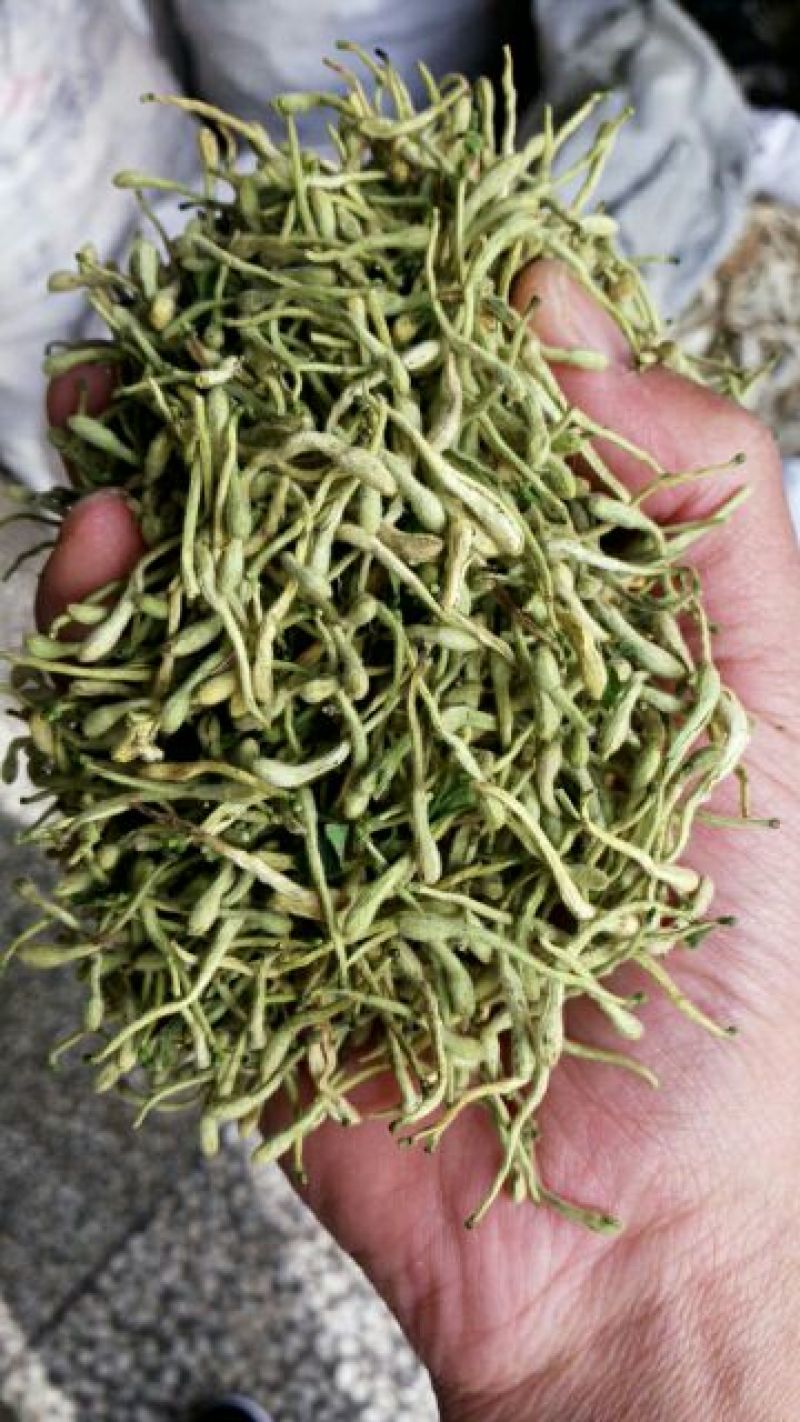 金银花中药材金银花色青花无硫无杂质