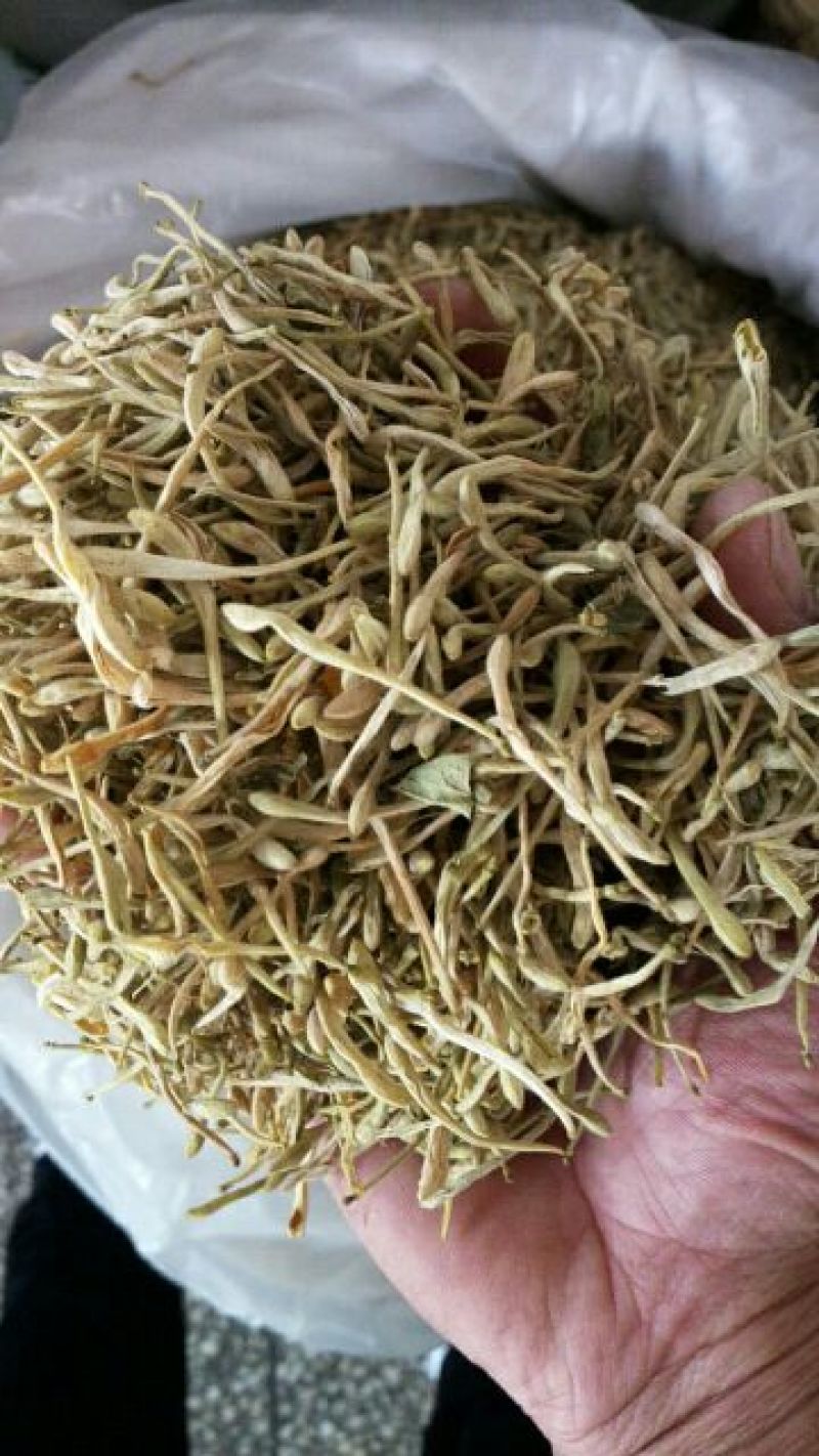 金银花中药材金银花色青花无硫无杂质
