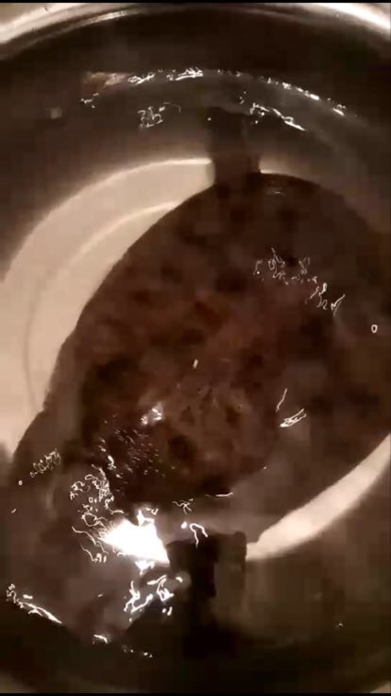 野生甲鱼