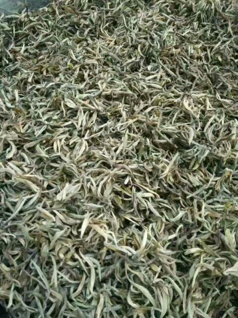 普洱茶二级
