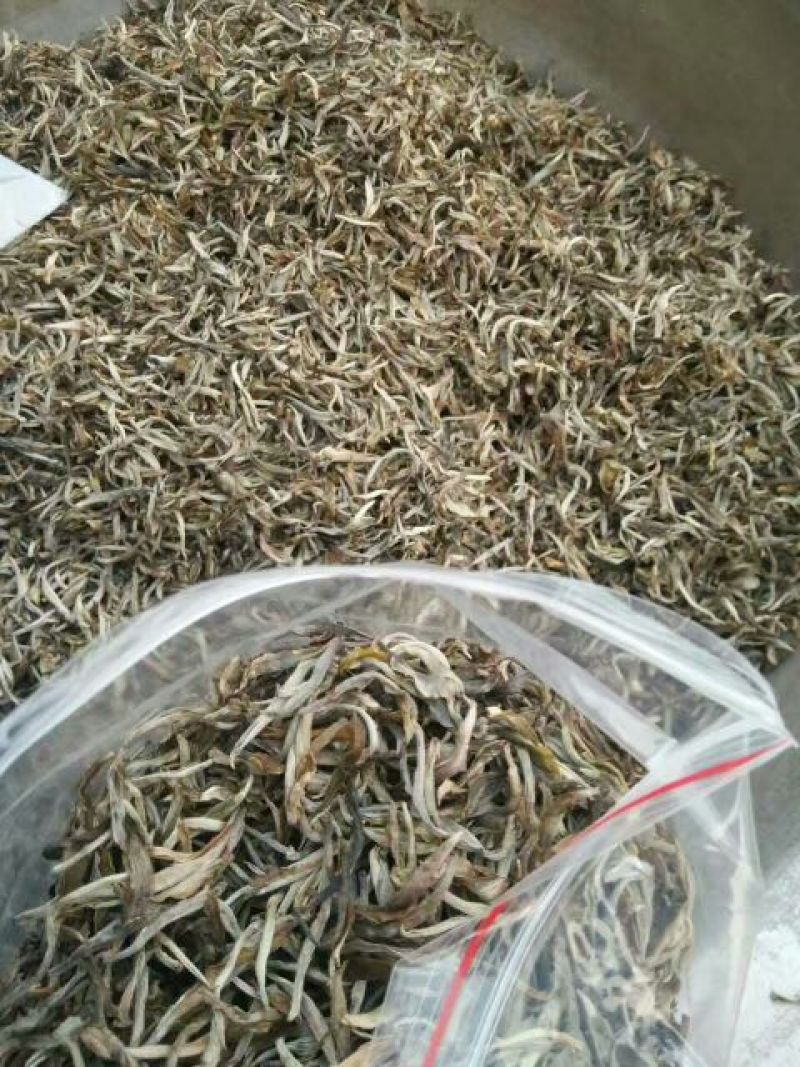 普洱茶二级