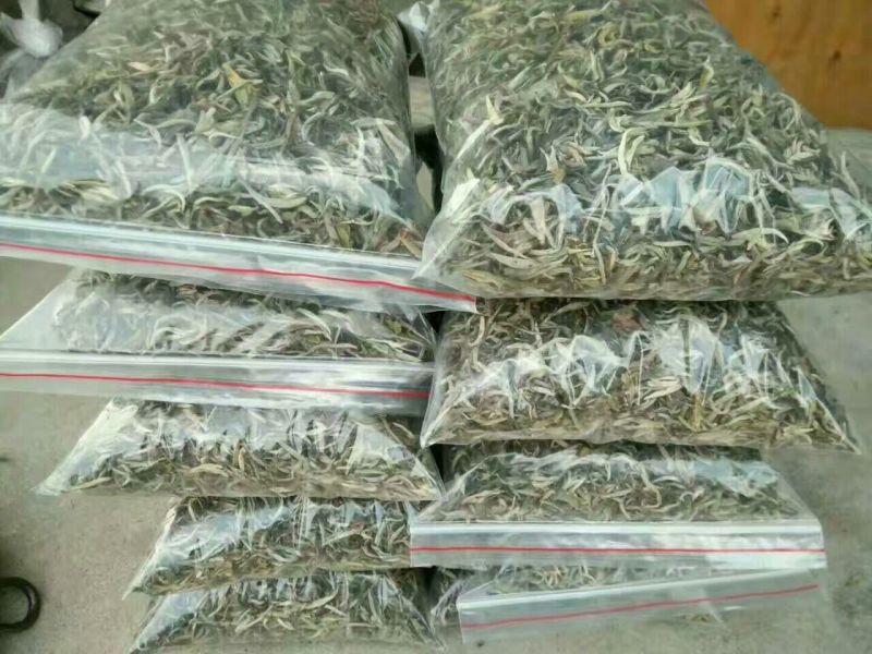 普洱茶二级