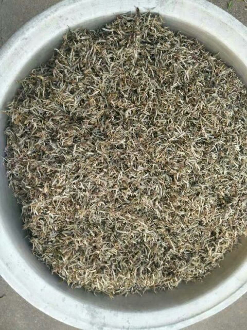 普洱茶二级