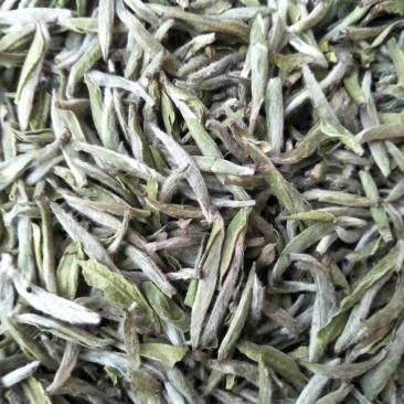 福鼎白茶特级