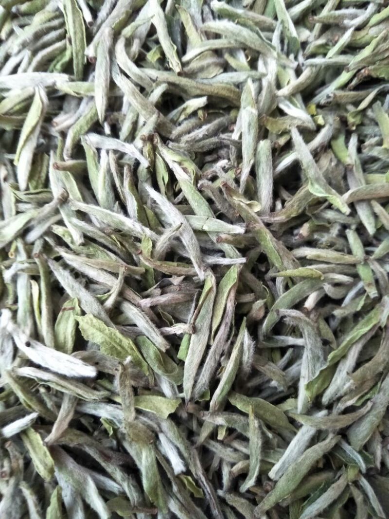 福鼎白茶特级