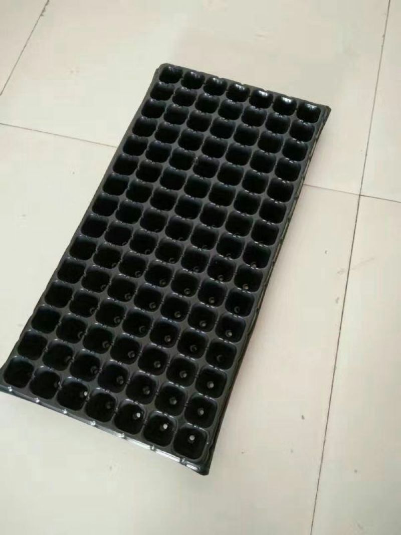 穴盘72孔