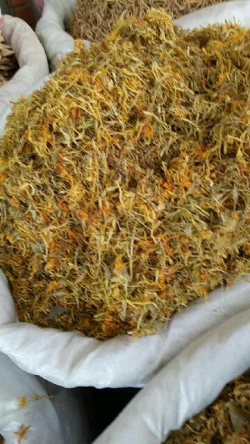 金银花湖南开花金银花。