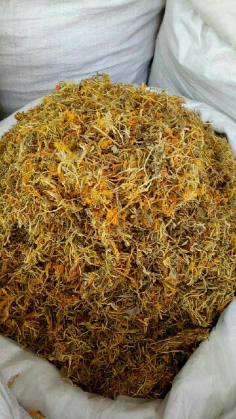 金银花湖南开花金银花。