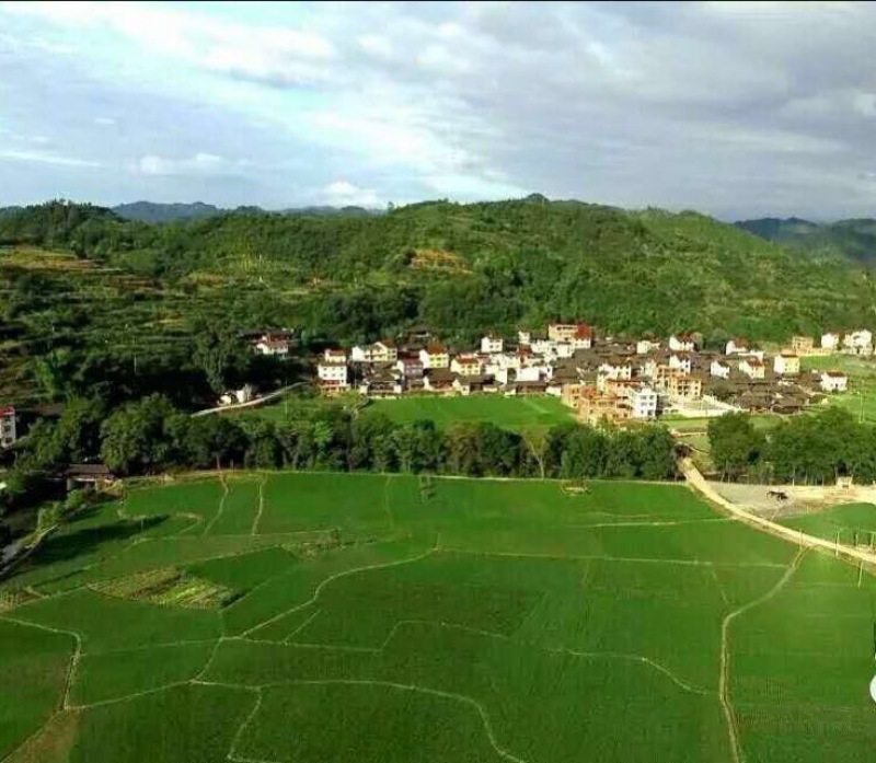 富硒大米