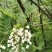 野山花蜂蜜2斤