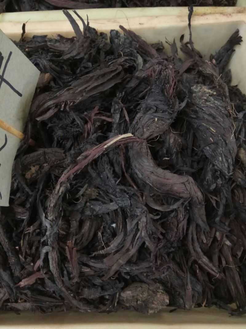 紫草1kg也批发