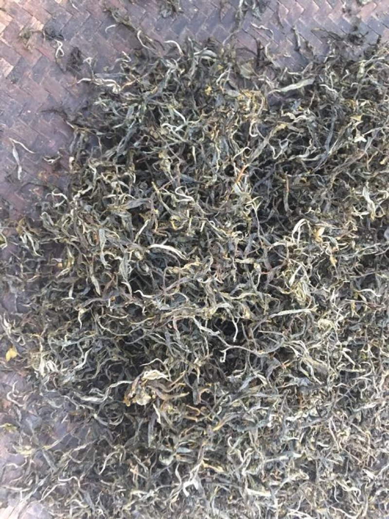百年大树茶