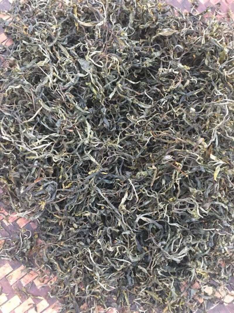 百年大树茶