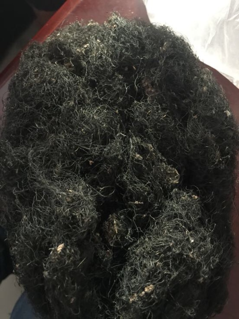发菜野生植物蔬菜特菜***绿色植物批发与零售