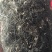 发菜野生植物蔬菜特菜***绿色植物批发与零售