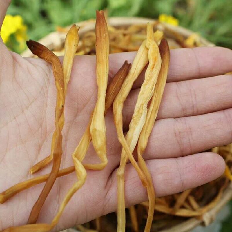 干黄花菜散装一级