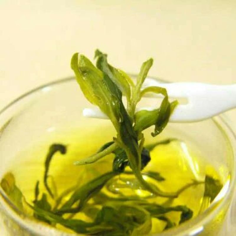 枸杞叶茶一级