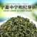 枸杞叶茶特级