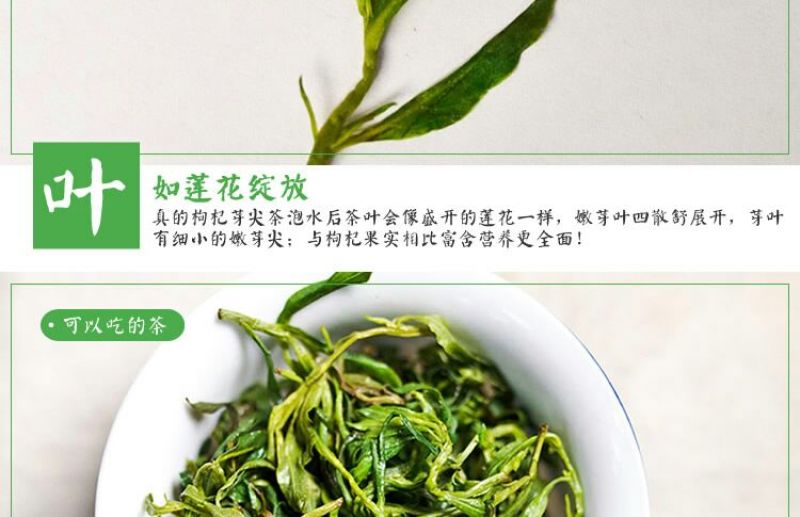 枸杞叶茶特级