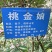 桃金娘苗百千层苗也叫山捻子当年种植当年挂果