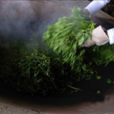 普洱茶