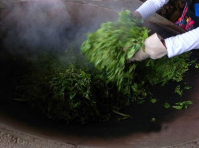 普洱茶