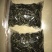 普洱茶