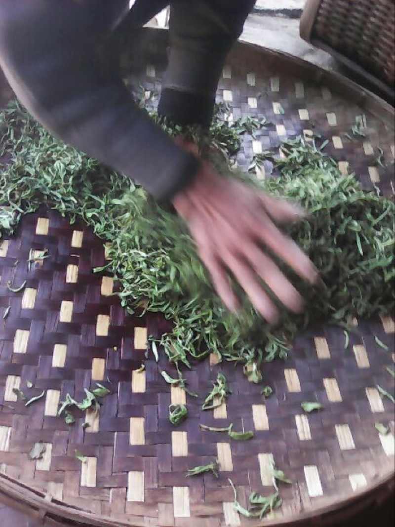 普洱茶