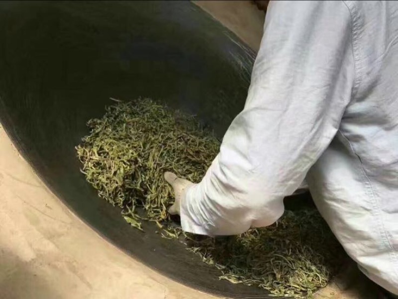 普洱茶
