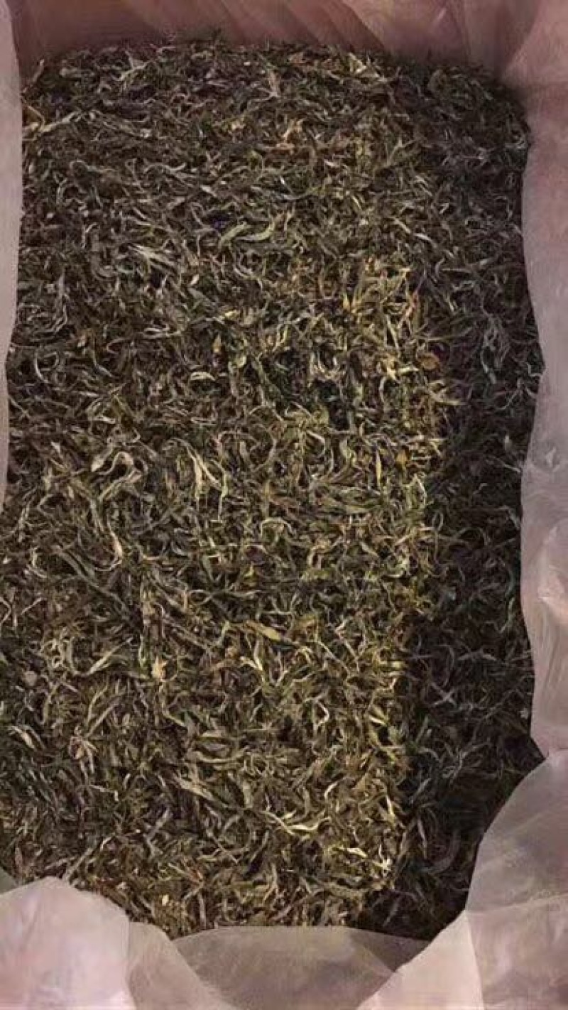 普洱茶
