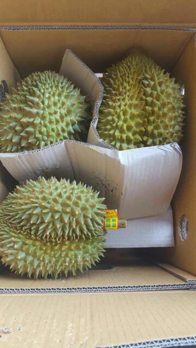 泰国进口金枕头榴莲5~8斤