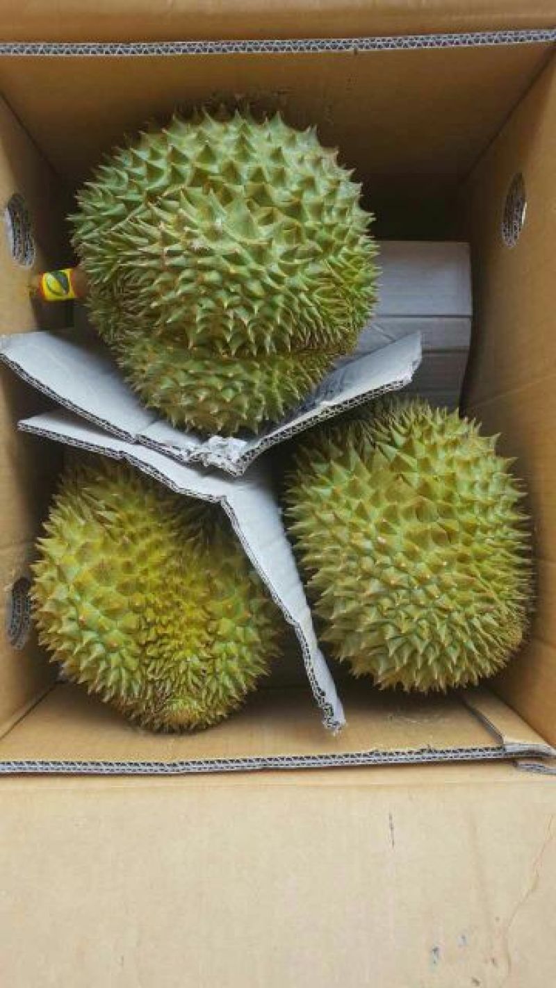 泰国进口金枕头榴莲3~5斤