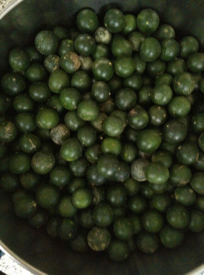 普洱茶特级