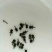 普洱茶特级
