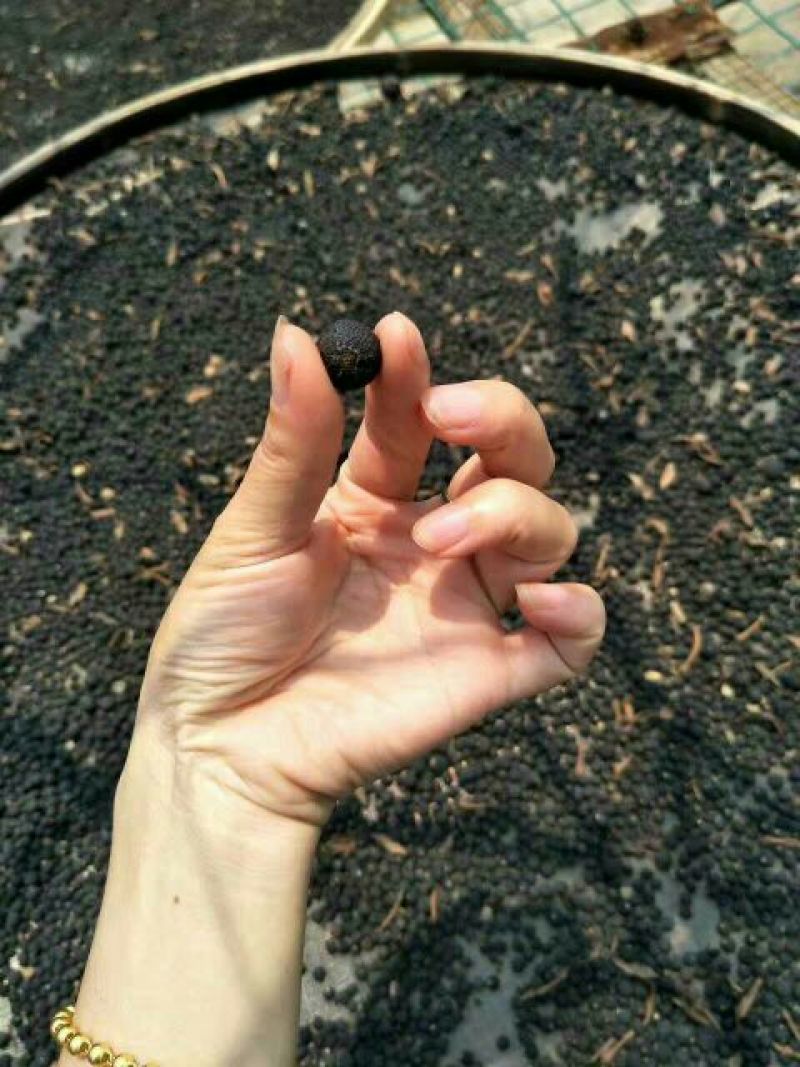 普洱茶特级