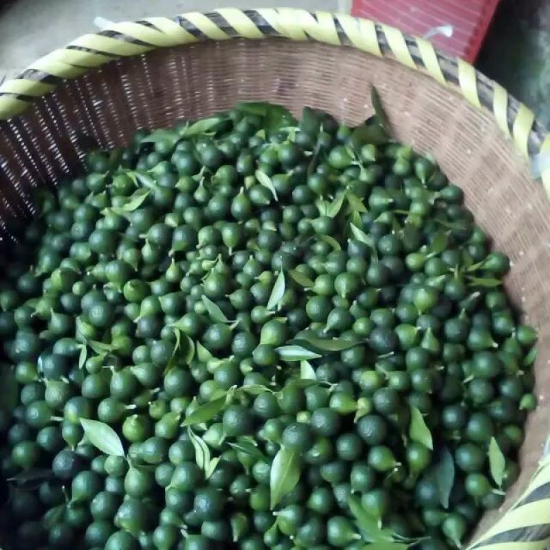 普洱茶特级