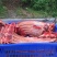 牛肉干